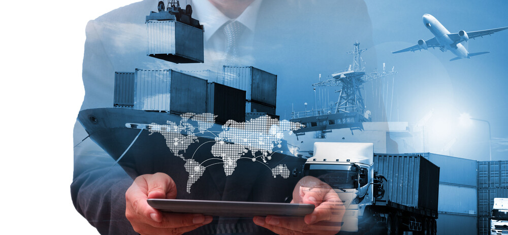 Comment obtenir mon numéro REX ?