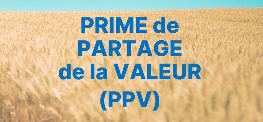La prime de partage de la valeur 2024