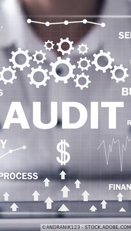 Audit et commissariat aux comptes